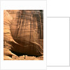 White House Ruins beneath cliff by Anonymous