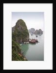 Boats in Halong Bay in Vietnam by Anonymous