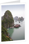 Boats in Halong Bay in Vietnam by Anonymous