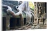 Tree roots overtaking Ta Prohm at Angkor by Anonymous