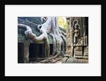 Tree roots overtaking Ta Prohm at Angkor by Anonymous