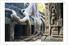 Tree roots overtaking Ta Prohm at Angkor by Anonymous