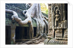 Tree roots overtaking Ta Prohm at Angkor by Anonymous