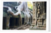 Tree roots overtaking Ta Prohm at Angkor by Anonymous
