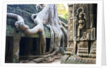 Tree roots overtaking Ta Prohm at Angkor by Anonymous