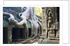 Tree roots overtaking Ta Prohm at Angkor by Anonymous
