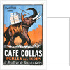 Cafe Collas Perles des Indes poster by Anonymous