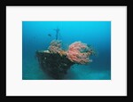 Halaveli Wreck and a scuba diver, Maldives. by Anonymous