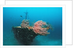 Halaveli Wreck and a scuba diver, Maldives. by Anonymous