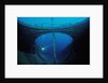 Scuba diver exploring a shipwreck, Papua New Guinea, Coral Sea. by Anonymous