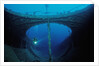 Scuba diver exploring a shipwreck, Papua New Guinea, Coral Sea. by Anonymous
