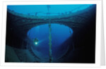 Scuba diver exploring a shipwreck, Papua New Guinea, Coral Sea. by Anonymous