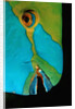Close-up of a Greentroat Parrotfish head by Anonymous