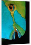 Close-up of a Greentroat Parrotfish head by Anonymous