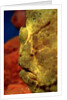 Giant Frogfish head (Antennarius commersonii), Komodo National Park, Indian Ocean. by Anonymous