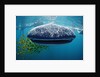 Whale shark, Rhincodon thypus, USA, Haiwaii, Pacific Ocean by Anonymous