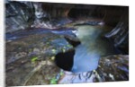 The Subway slot canyon by Anonymous