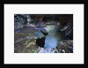 The Subway slot canyon by Anonymous