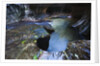 The Subway slot canyon by Anonymous