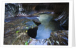 The Subway slot canyon by Anonymous