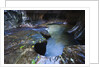 The Subway slot canyon by Anonymous