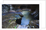 The Subway slot canyon by Anonymous