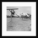 Clothes dry on a wooden line, ca. 1930. by Anonymous