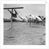 Clothes dry on a wooden line, ca. 1930. by Anonymous