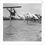 Clothes dry on a wooden line, ca. 1930. by Anonymous