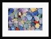 Various minerals by Anonymous