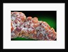 Chalcedon mineral by Anonymous
