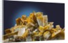 Baryte mineral by Anonymous