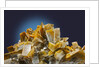 Baryte mineral by Anonymous