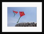 Kites flying by the Beijing National Stadium by Anonymous