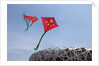 Kites flying by the Beijing National Stadium by Anonymous