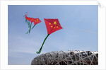 Kites flying by the Beijing National Stadium by Anonymous