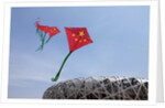 Kites flying by the Beijing National Stadium by Anonymous