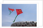 Kites flying by the Beijing National Stadium by Anonymous