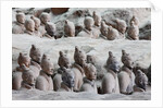 Terracotta soldiers at Qin Shi Huangdi Tomb by Anonymous