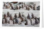 Terracotta soldiers at Qin Shi Huangdi Tomb by Anonymous