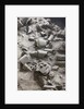 Remains of terracotta soldiers by Anonymous