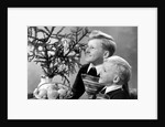Two brothers look at a candle on a Christmas tree in Germany, ca. 1950 by Anonymous