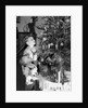 Two brothers look at a Christmas tree in their living room in Germany, ca. 1949 by Anonymous