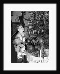 Two brothers look at a Christmas tree in their living room in Germany, ca. 1949 by Anonymous