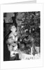 Two brothers look at a Christmas tree in their living room in Germany, ca. 1949 by Anonymous