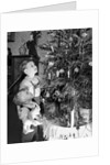 Two brothers look at a Christmas tree in their living room in Germany, ca. 1949 by Anonymous