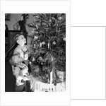 Two brothers look at a Christmas tree in their living room in Germany, ca. 1949 by Anonymous