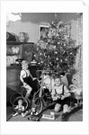 Two brothers are shown with their toys under the Christmas tree in Germany, ca. 1949 by Anonymous