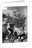 Two brothers are shown with their toys under the Christmas tree in Germany, ca. 1949 by Anonymous