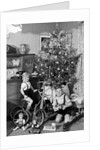 Two brothers are shown with their toys under the Christmas tree in Germany, ca. 1949 by Anonymous